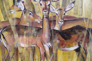 Gazelles
